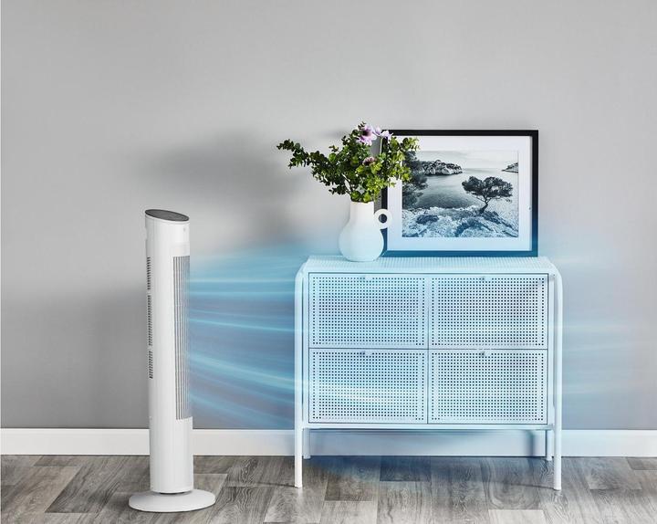 Produktbild Rowenta Eole Ultra VU6871F0 (52 dB)