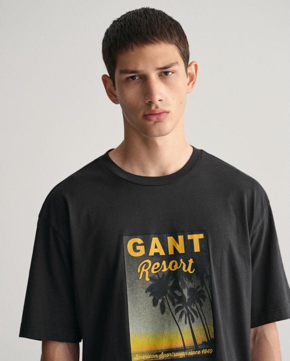 Produktbild GANT t-shirt washed graphic (M)
