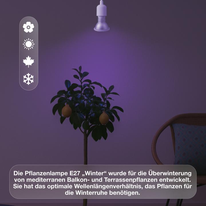 Produktbild Venso E27 Pflanzenlampe "Winter" 7W 120° (LED)