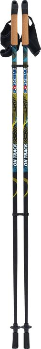 Actual product image Sport-Thieme Nordic Walking Poles On Track (100 cm)