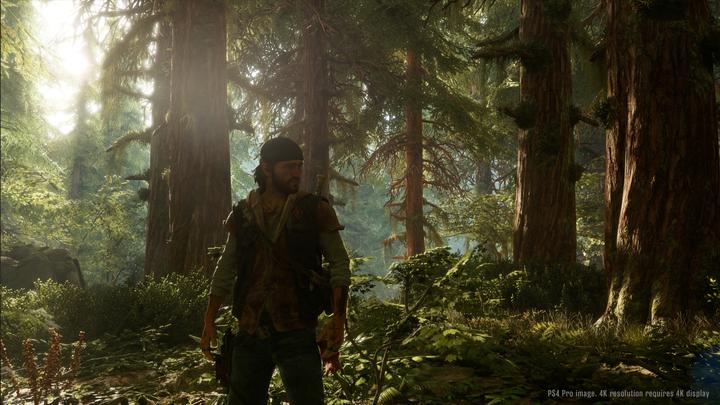 Image du produit Sony Days Gone, PS4 Standard PlayStation 4 (PS4)