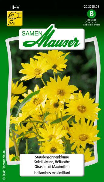 Produktbild Samen Mauser Staudensonnenblume (Blumensamen)