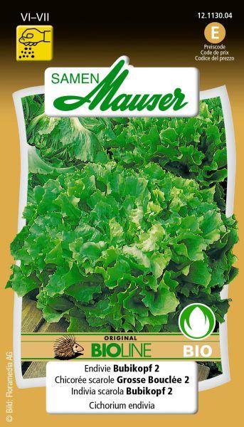 Actual product image Samen Mauser Bud organic endive Bubikopf 2 (Vegetable seeds)