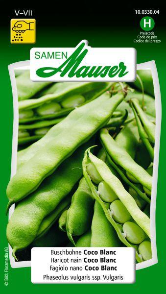 Produktbild Samen Mauser Buschbohne Coco Blanc (Gemüsesamen)