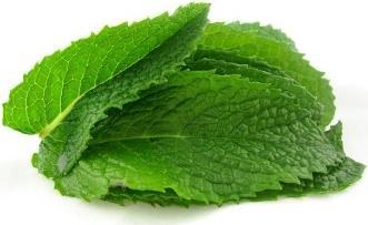 Samen Mauser Mojito e Hugo Mint (Semi di erbe)
