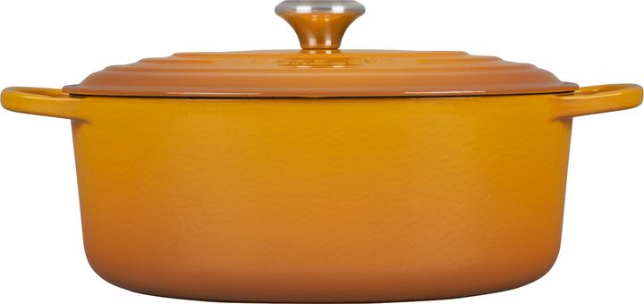 Actual product image Le Creuset Roaster Signature oval 31 cm Nectar (31 cm, Casserole + Stewpot, Cast iron)