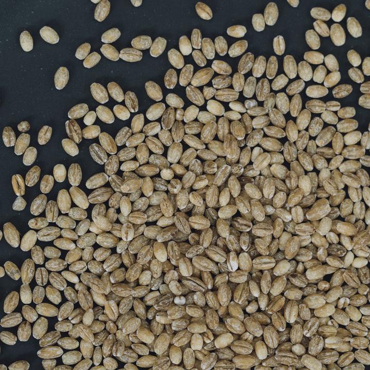 Actual product image Altbachmühle Organic hulled barley (1000 g)