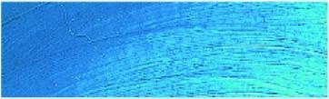 Immagine prodotto Rembrandt VERNICE AD OLIO T9 534 (Blu Ceruleo, 40 ml)
