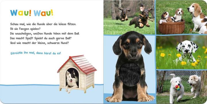 Actual product image Listen, who could that be? Favorite Animals (German)