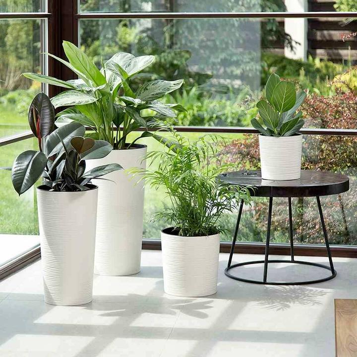 Immagine prodotto Siena Garden Modern (30 cm)