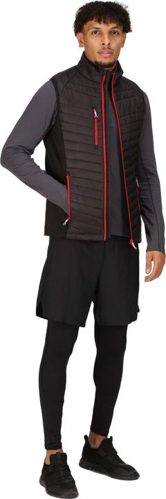 Produktbild Regatta Navigate Weste Hybrid (L)