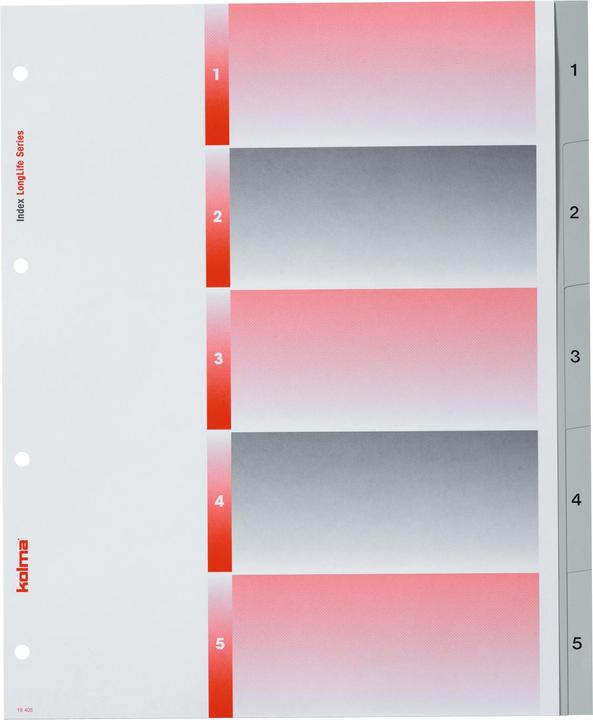 Actual product image Kolma Index A4 XL superstrong 1-5 5-piece grey