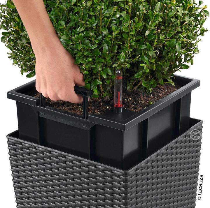Produktbild Lechuza Cube Cottage (49 cm)
