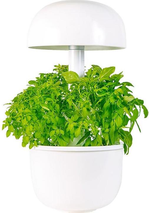 Actual product image Plantui Smart Garden 3e (Seedlings)