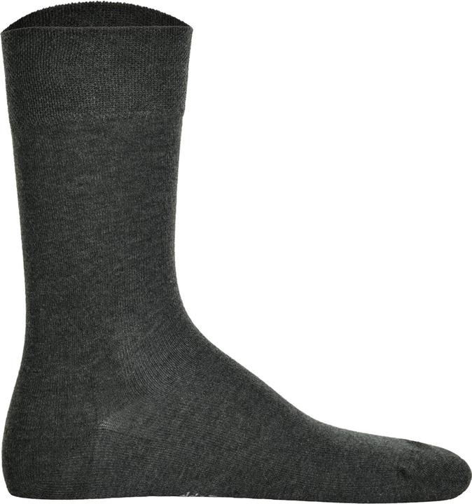 Actual product image Hudson Men socks (Single pack, 41 - 42)