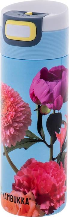 Morning Glory