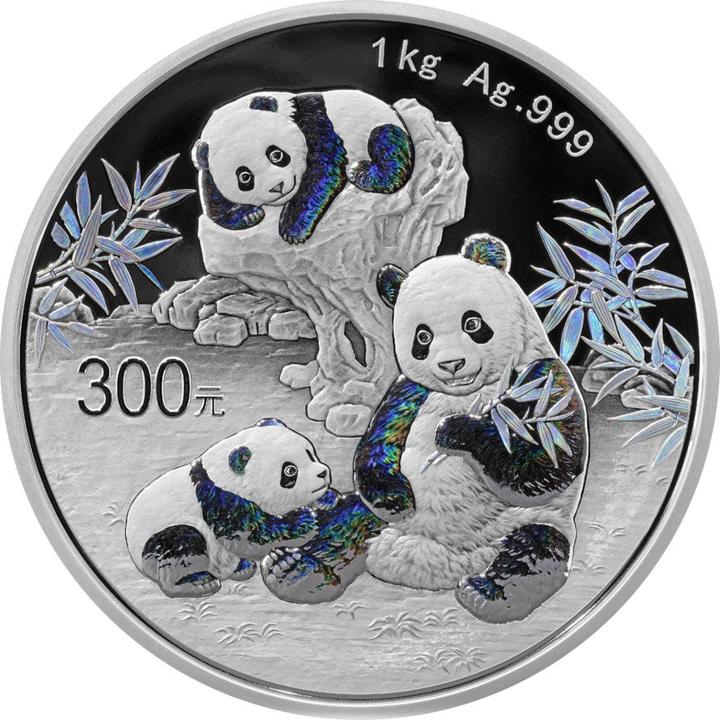 China Mint Silber China Panda 1000 g PP - Irisierend 2025 (999, 2025)