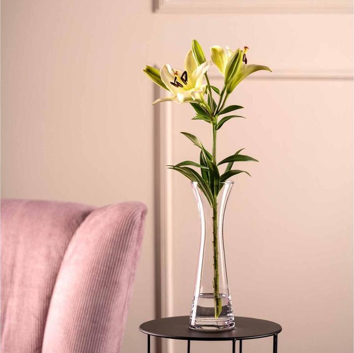 Actual product image Leonardo Vase Gia 26 cm, Transparent (1 x, 26 x 8 x 26 cm, 2146.50 l)
