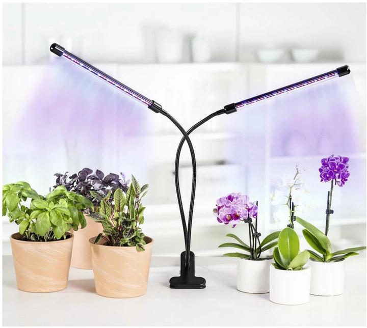 Immagine prodotto Xavax Bastone (LED, 5 V)
