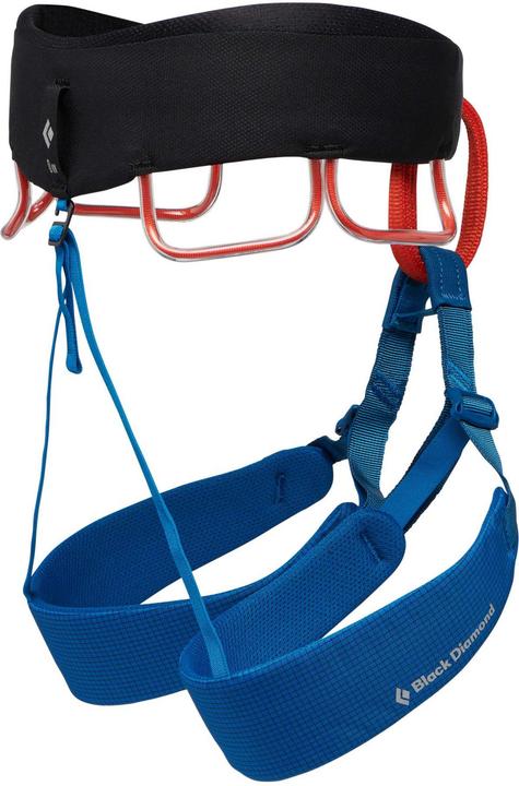 Image du produit Black Diamond Momentum Men (L)