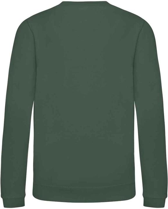 Produktbild Awdis Just Hoods Sweatshirt (152)