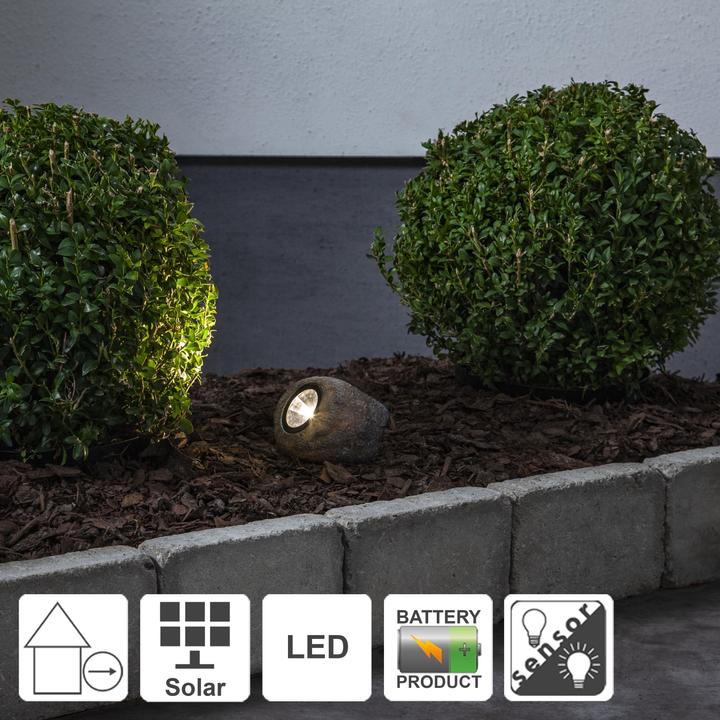 Produktbild Star Trading Rocky (15 lm, IP44)