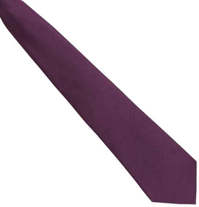 Immagine prodotto Premier Colori Cravatta da agganciare
