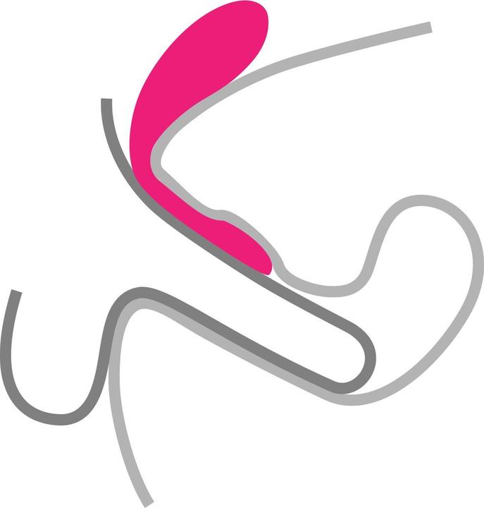Image du produit LELO Tiani 2 Design Edition