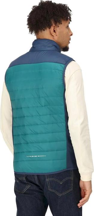 Actual product image Regatta Halton VI Waistcoat Lightweight (L)