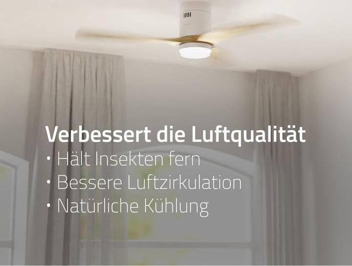 Actual product image Hombli Deckenventilator mit Licht (43 dB)