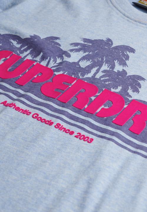Actual product image Superdry Outdoor Stripe Relaxed Tee (8)