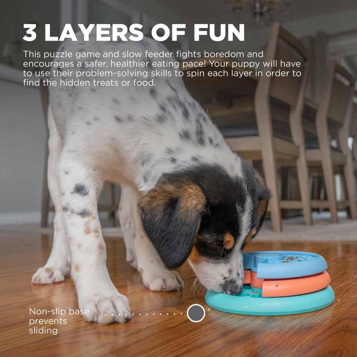 Immagine prodotto Outward Hound Strato Lecca Cuccioli - (645.5582) (Intelligenza cane toy)