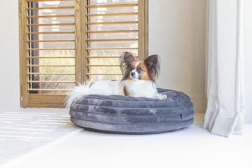 Actual product image Designed by Lotte Reza reclining cushion (Dog)