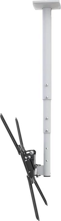Produktbild Barkan Deckenhalter (Decke, 65", 40 kg)