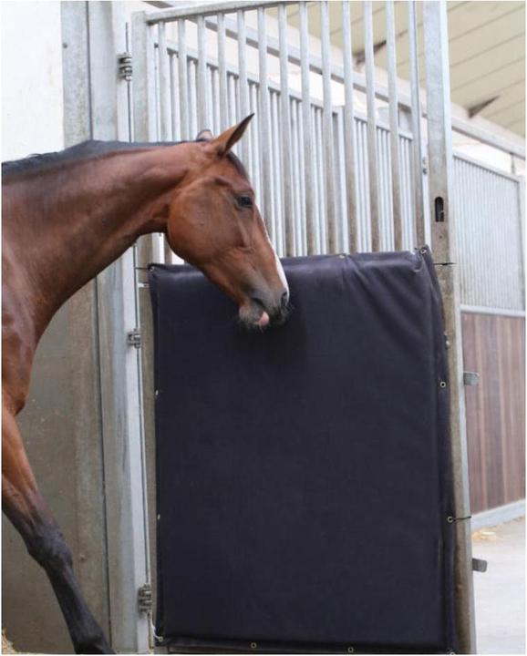 Image du produit Kentucky Horsewear Tapis de protection Kick Pad