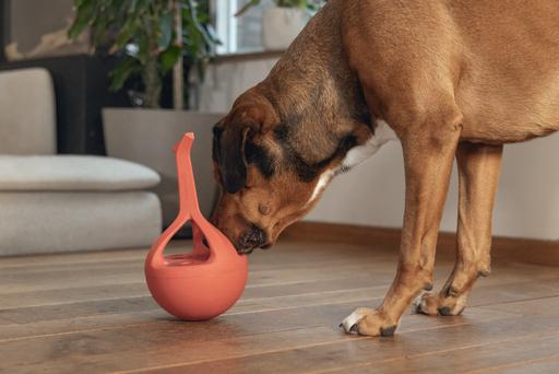 Actual product image Beeztees Rubber dog toy Wiggle-X (Dog chew toy)