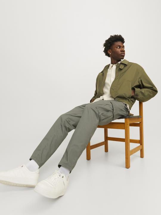 Actual product image Jack & Jones Cargo fit carrot trousers Carrot trousers (W29/L32)
