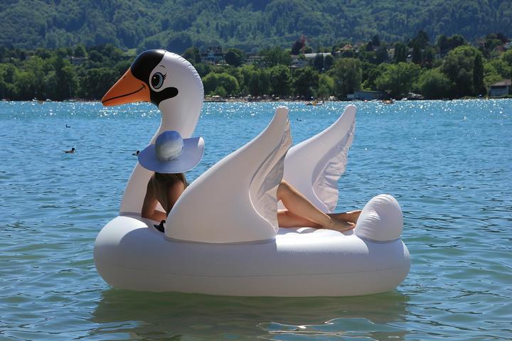 Actual product image Intex Mega Swan Island