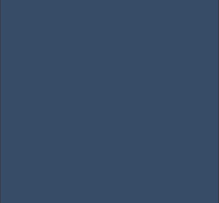 Actual product image Savage Background Ultramarine (272 cm, 1100 cm)