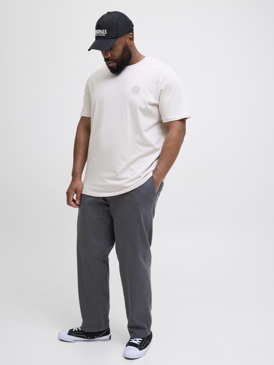 Actual product image Jack & Jones Jpstkane Fctry Fabric2 L2 Chino Pant Pls (W46/L32)