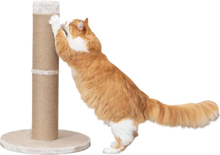 Produktbild Trixie Kratzstamm XXL Rue 80 cm (80 cm, Beige)