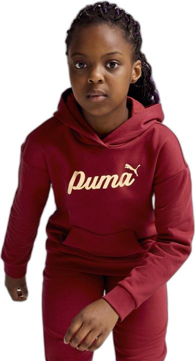 Produktbild Puma ESS+ SCRIPT Metallic Hoodie FL G (152)