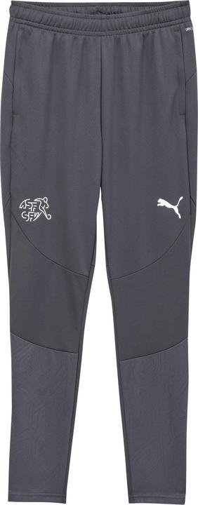 Puma SFV Training Pants (L)