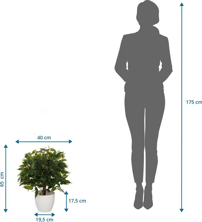Actual product image Hjh Office Ficus Ii (65 cm)