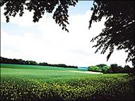 Produktbild Cokin Z121L Verlauffilter grau 2 (ND2) (100 mm, ND- / Graufilter, 100 mm)