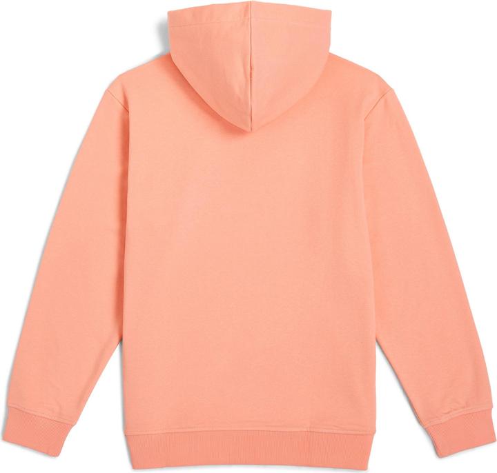 Immagine prodotto O'Neill Logo Hoodie (164)