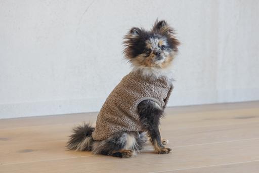 Produktbild Designed by Lotte Hundepullover Madeleine (S, Hundepullover)