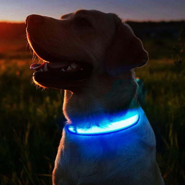 Actual product image Cbx Rechargeable LED dog collar size L - 46-50cm (L, Dog)
