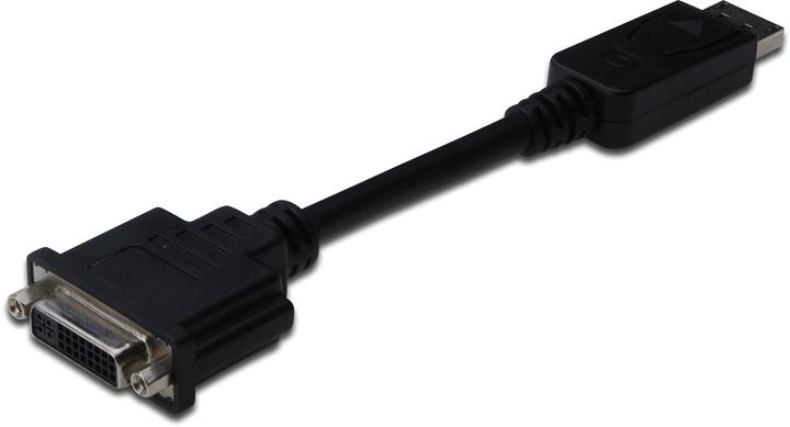 Produktbild Digitus DisplayPort — DVI (DVI, 15 cm)