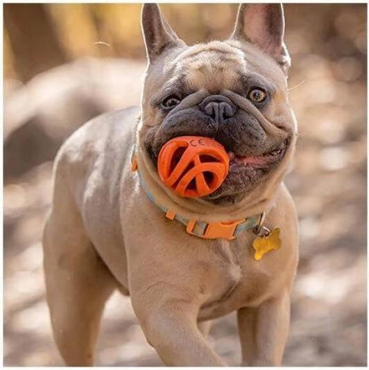 Actual product image Chuckit! CHUCKIT BREATHE RIGHT Ball fetch Openwork 7 5 cm diameter size L Orange (Dog chew toy)